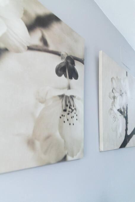 Pasquin Apartment *